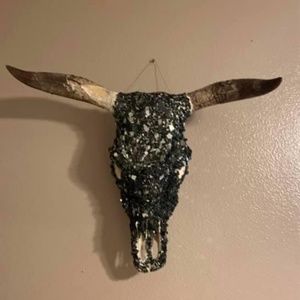 Bull skull